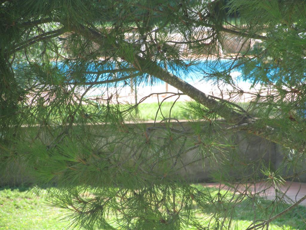 Azienda Agrituristica Allumiere Villa Campiglia Marittima Bagian luar foto