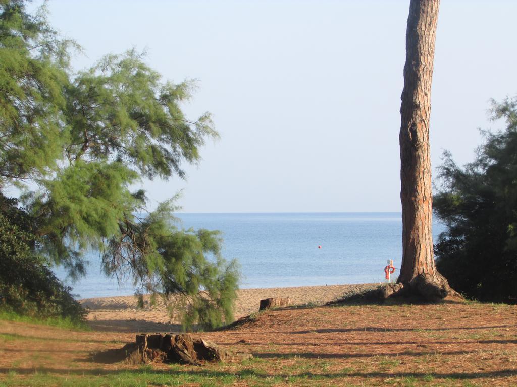 Azienda Agrituristica Allumiere Villa Campiglia Marittima Bagian luar foto