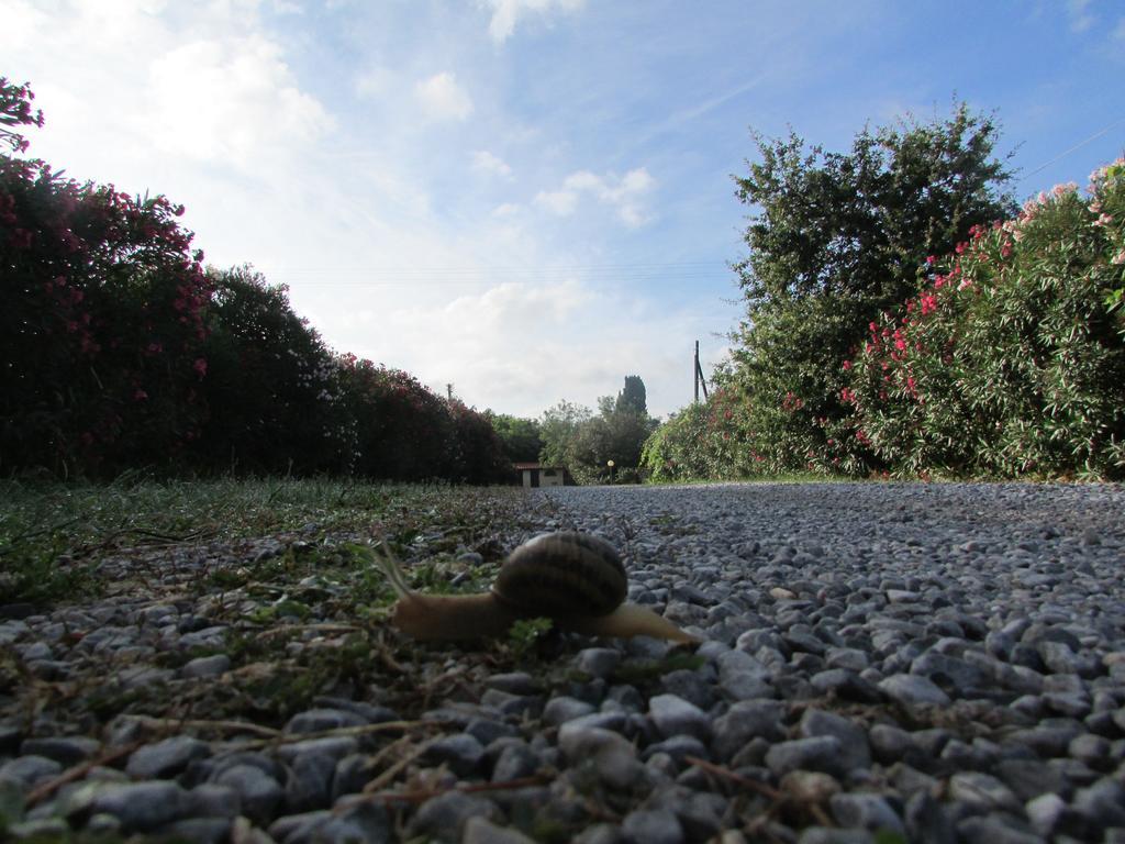 Azienda Agrituristica Allumiere Villa Campiglia Marittima Bagian luar foto