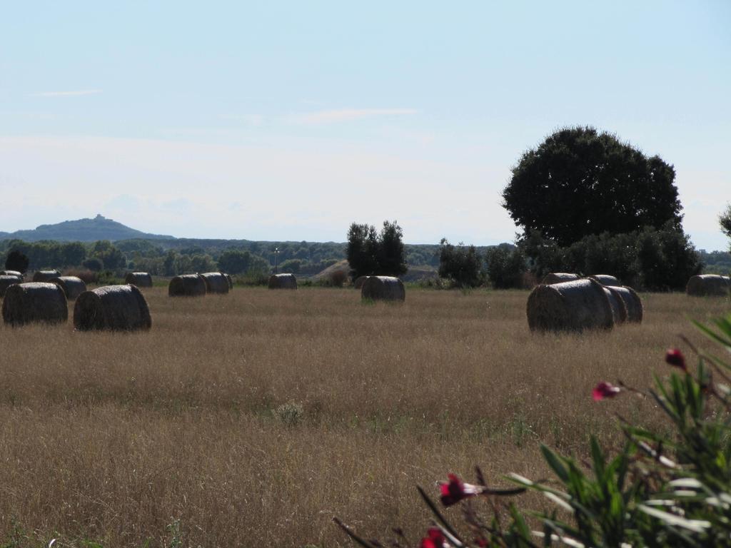 Azienda Agrituristica Allumiere Villa Campiglia Marittima Bagian luar foto