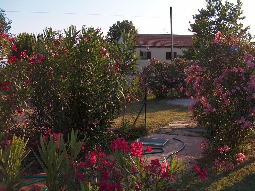 Azienda Agrituristica Allumiere Villa Campiglia Marittima Bagian luar foto