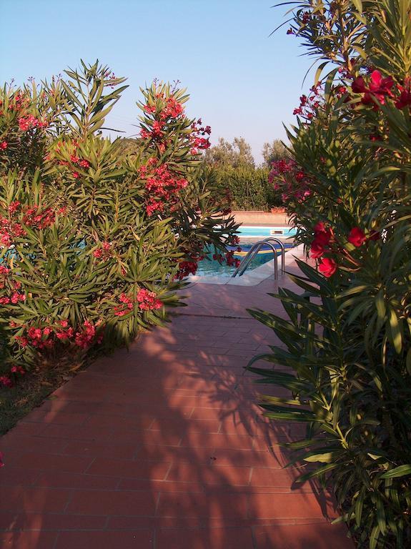 Azienda Agrituristica Allumiere Villa Campiglia Marittima Bagian luar foto